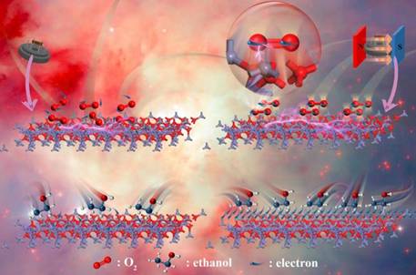 Graphical-abstract